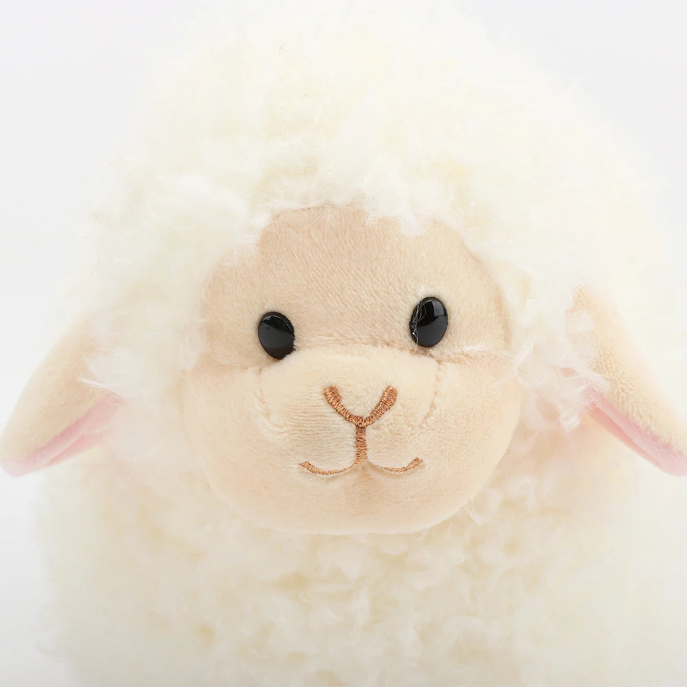 sheepie