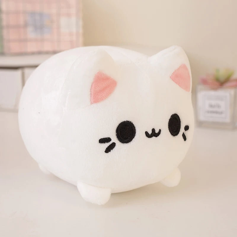 kitty