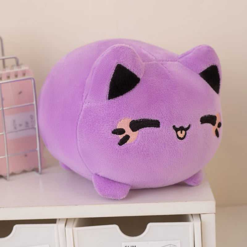 kitty