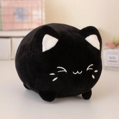 kitty