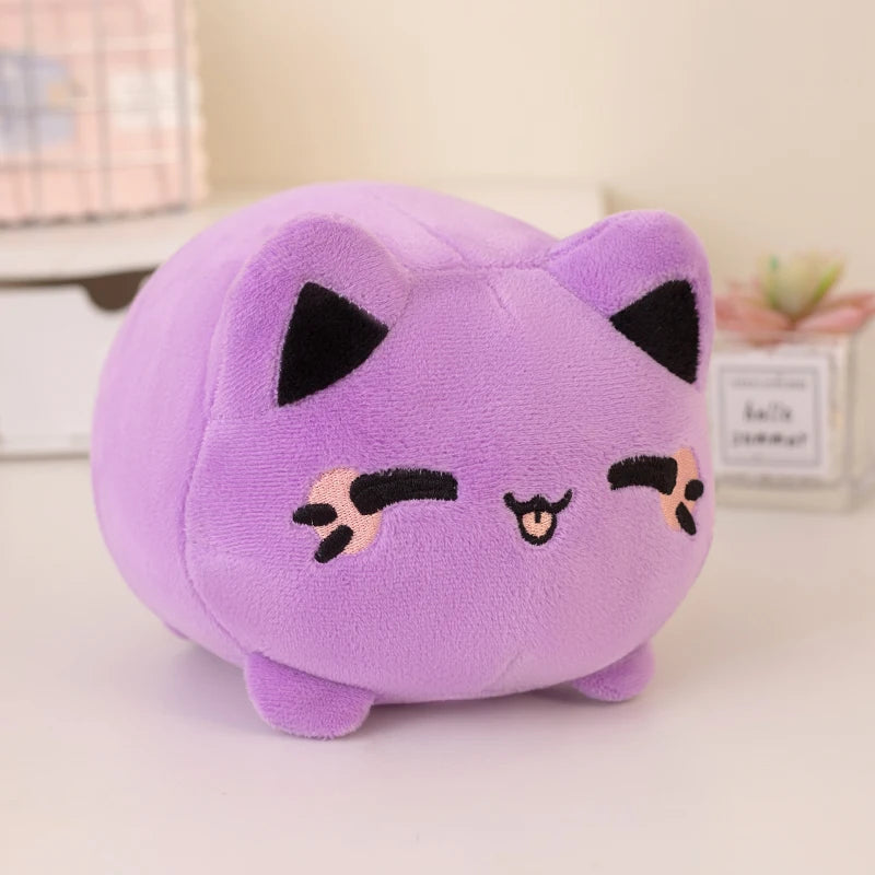 kitty