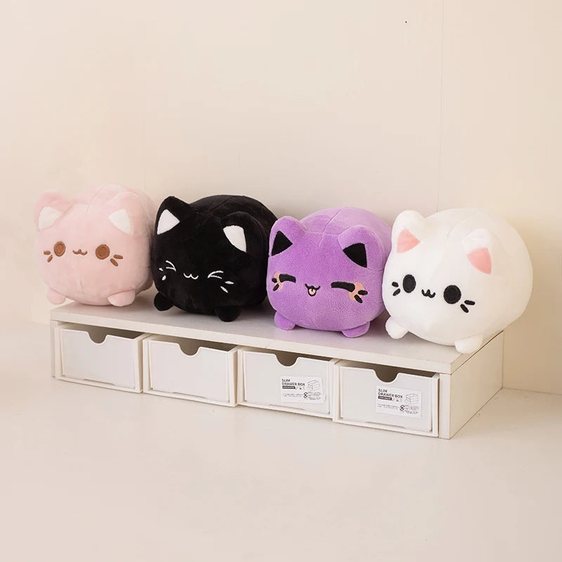 kitty