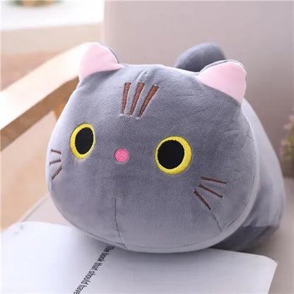 soft kitty plushies