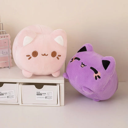 kitty