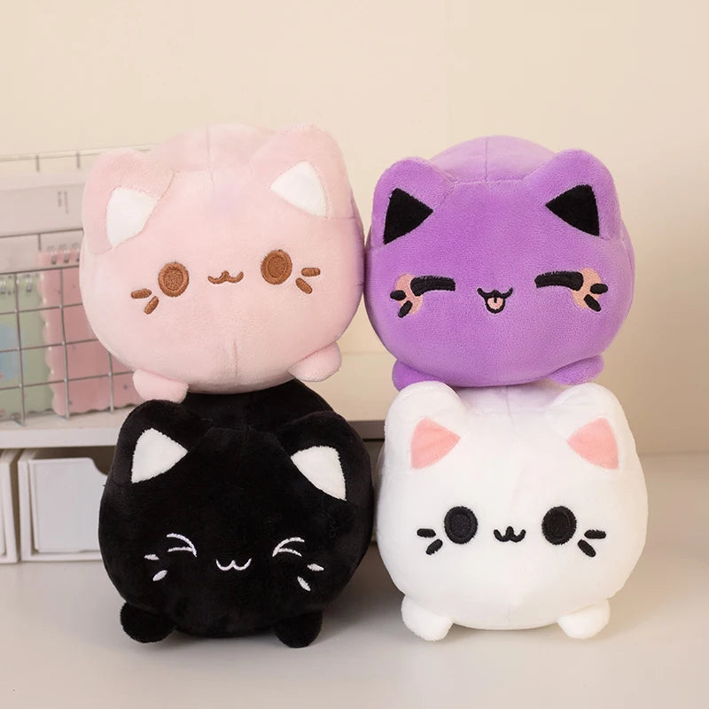 kitty