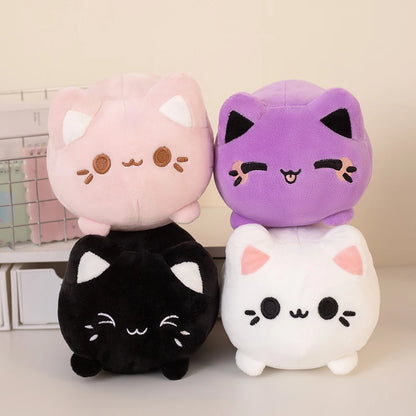 kitty