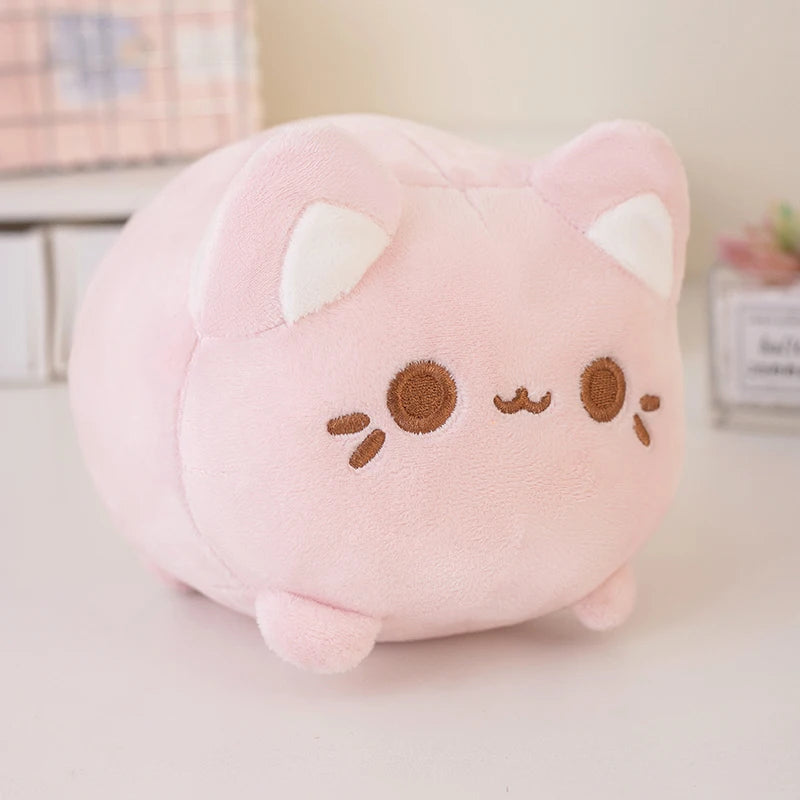 kitty