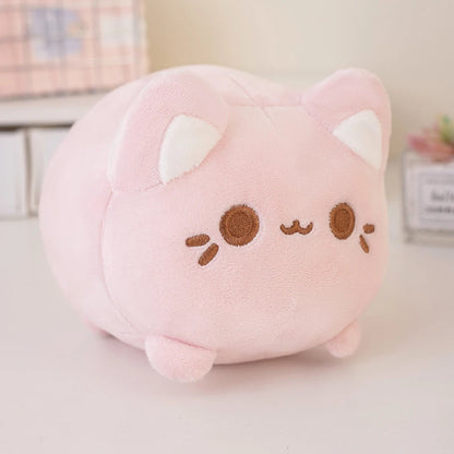 kitty