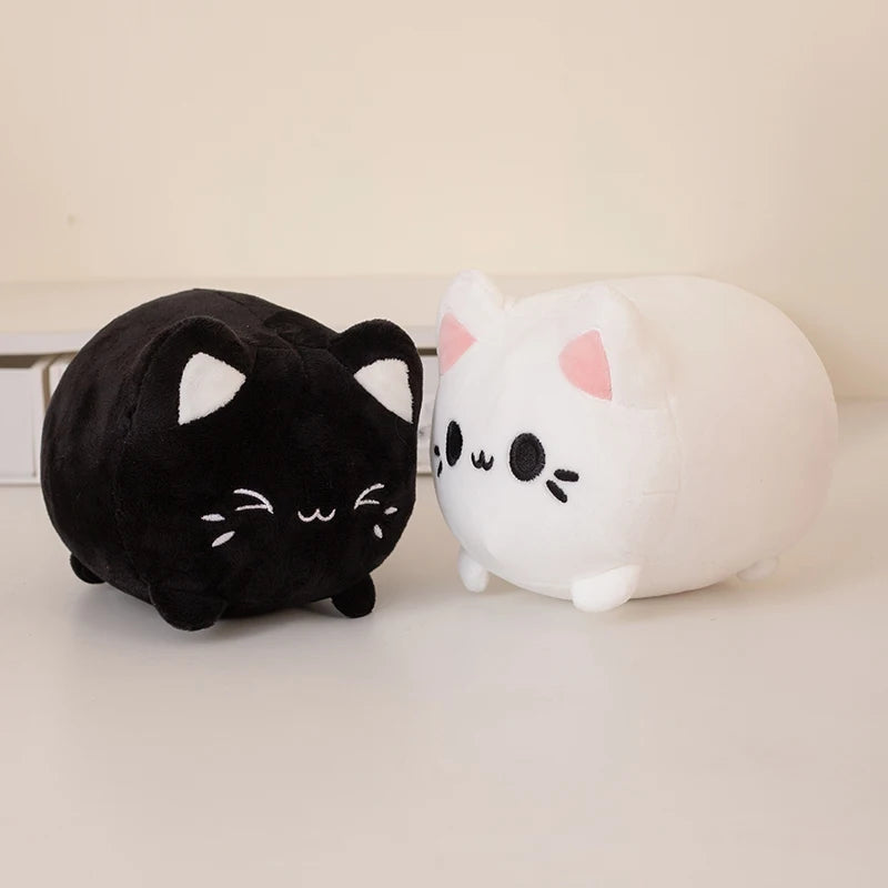 kitty