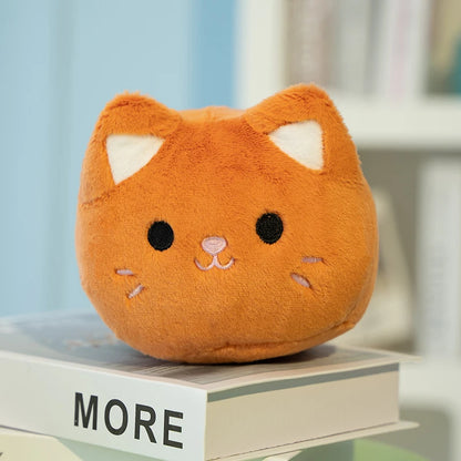 kitty