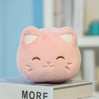 kitty