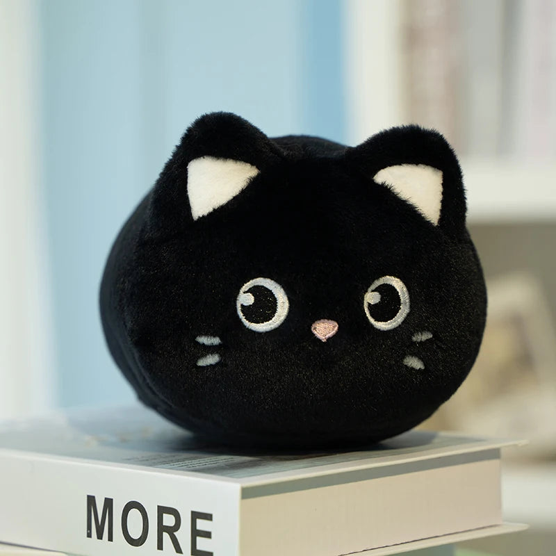 kitty