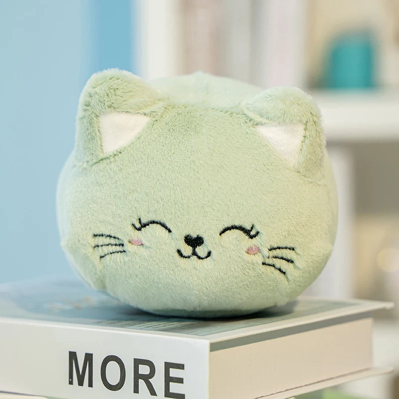 kitty